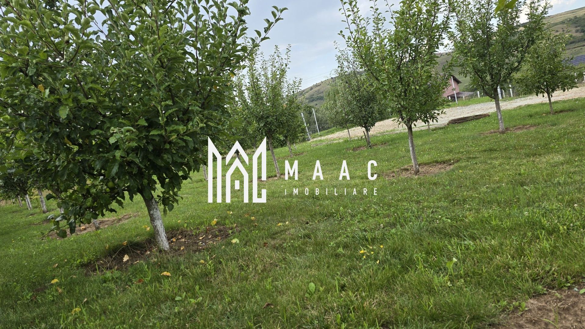 Teren Intravilan | 670 Mp |  Daia - Poză 4