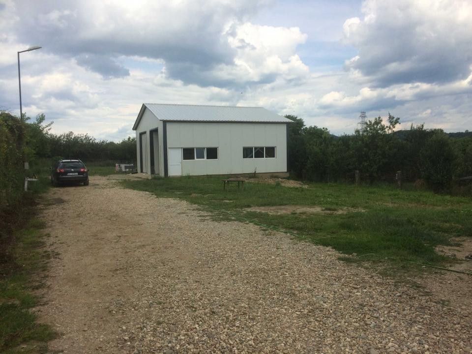 Vanzare hala si teren, Maracineni - Poză 5