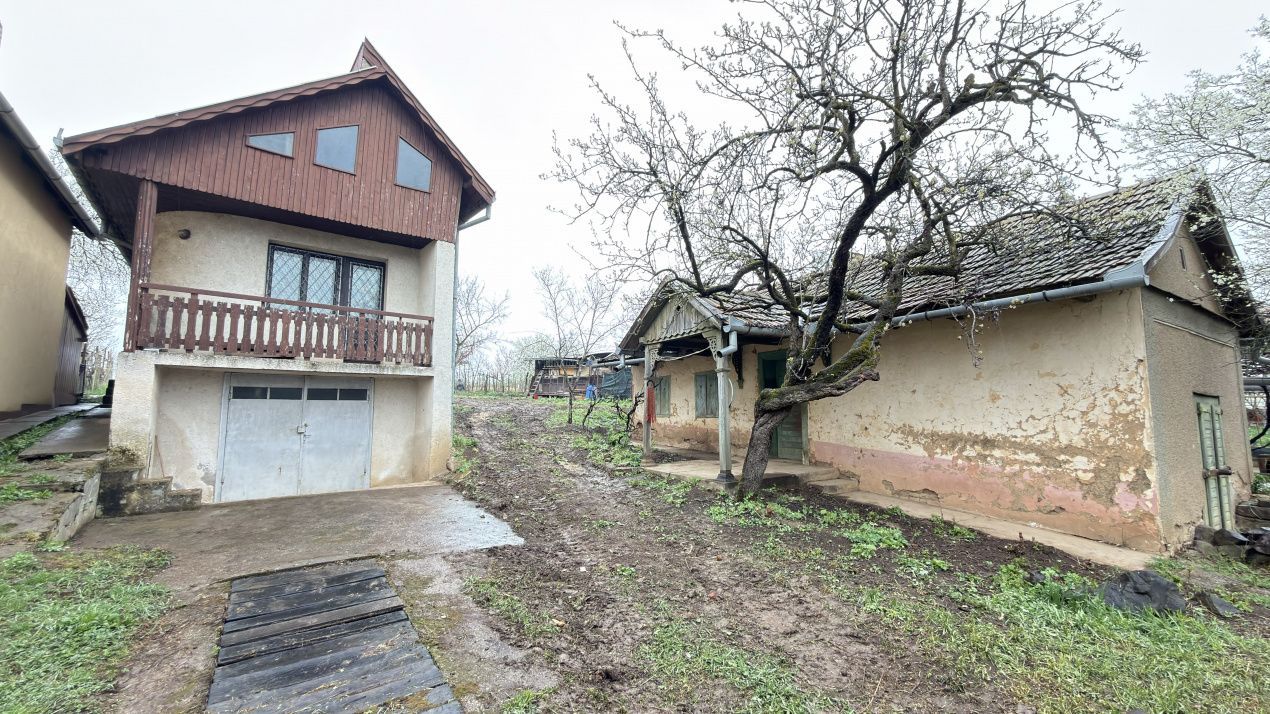 De vânzare 2 Case de vinificație cu Teren 4108 mp - Grădina Viilor - Carei - Poză 2