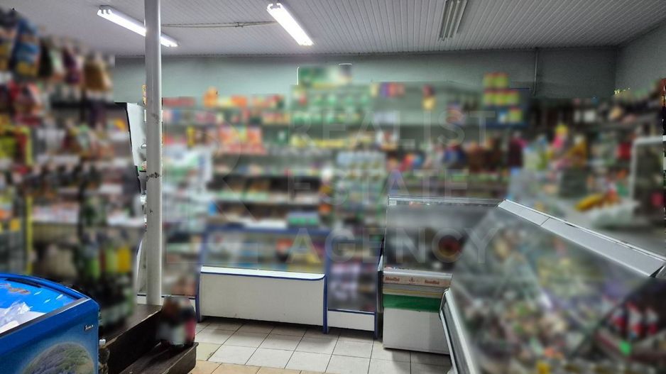 Vânzare spatiu comercial, 125 mp, sat Zgurița, r- nul. Drochia. - Poză 5