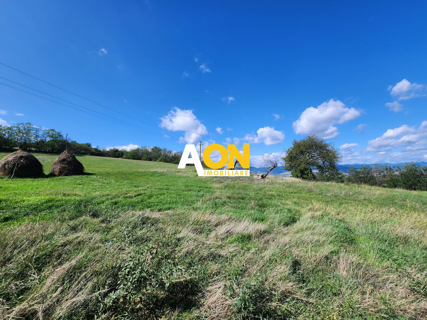 De vanzare 2965 mp teren intravilan, toate utilitatile, Oarda de Sus - Poză 9