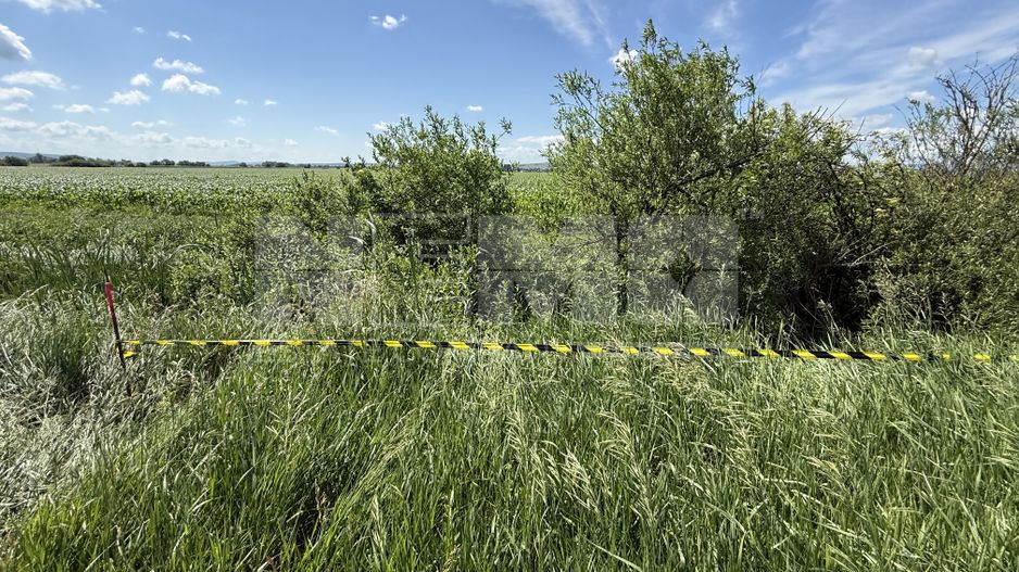 Teren extravilan de vânzare | Rădăuți | 4.000 mp - Poză 6