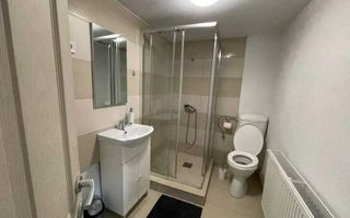 Vand sau schimb casa Campu Cetatii din caramida si lemn - Poză 8