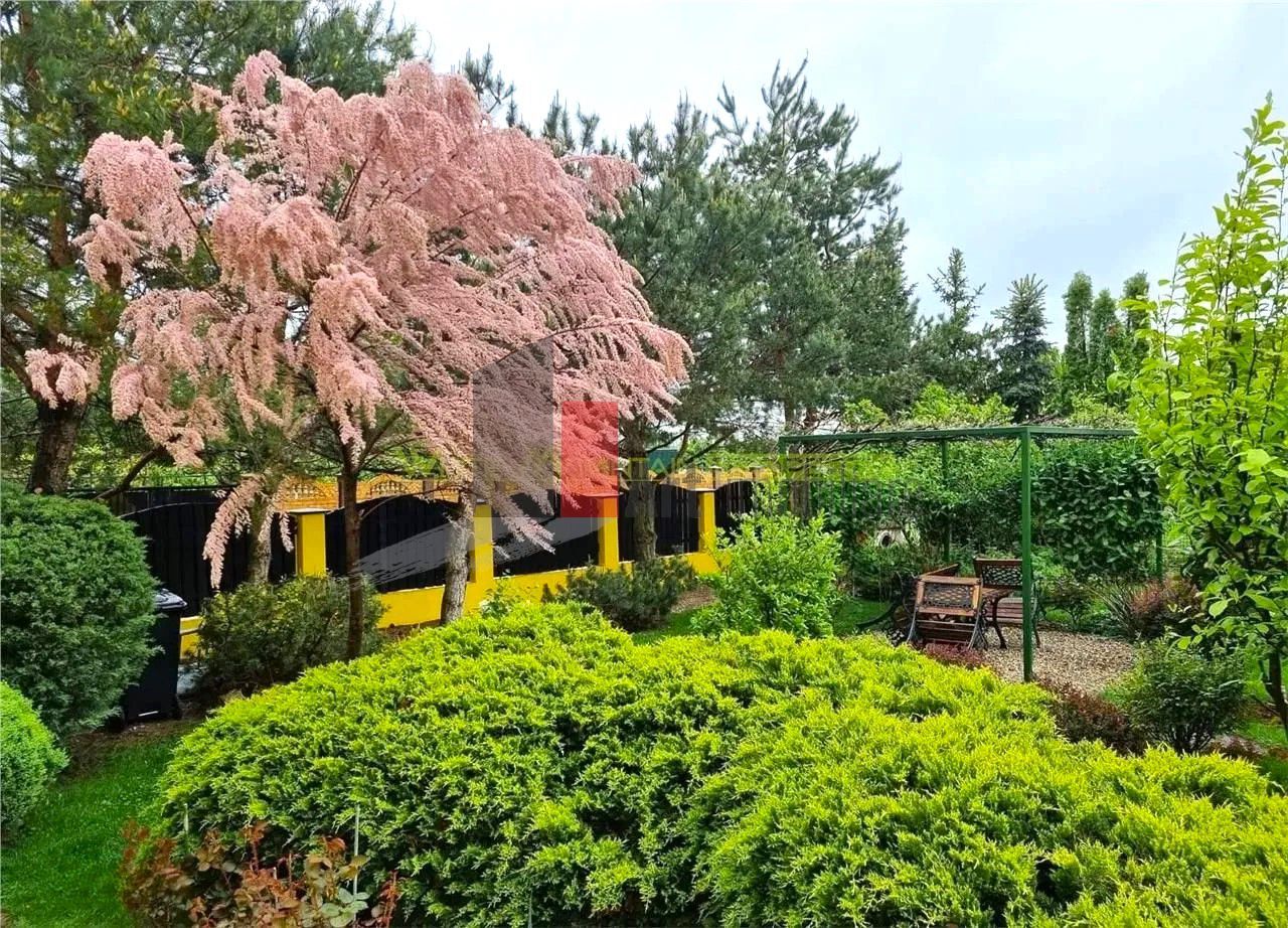 Vila superba cu gradina si panouri solare | Tancabesti - Poză 4