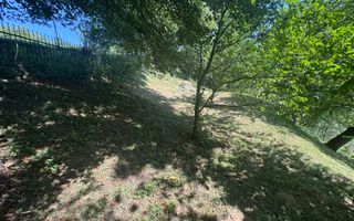 CASA 6 CAMERE TEREN 1005 MP  BUGHEA DE JOS ARGEȘ - Poză 34