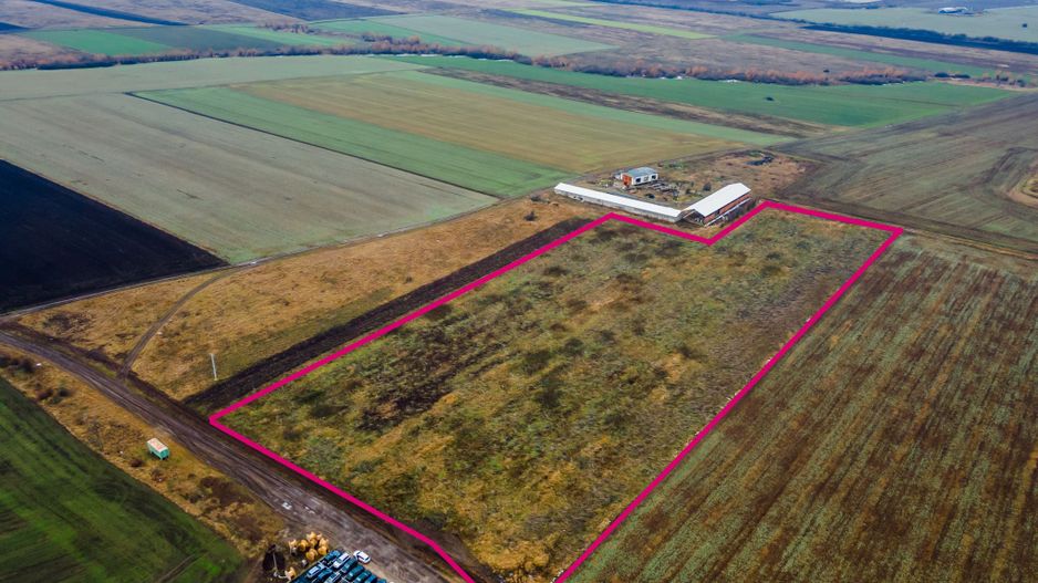 Teren 3.65h zonă industrială, Sânicolaul Mic. - Poză 7