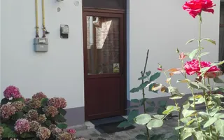 Apartament 2 camere zona Iosefin - curte comuna - Poză 11