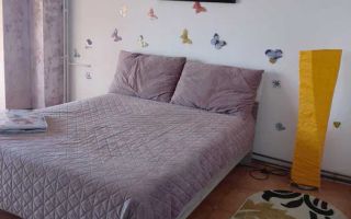 Închiriere apartament 2 camere, Nicolina - Poză 2