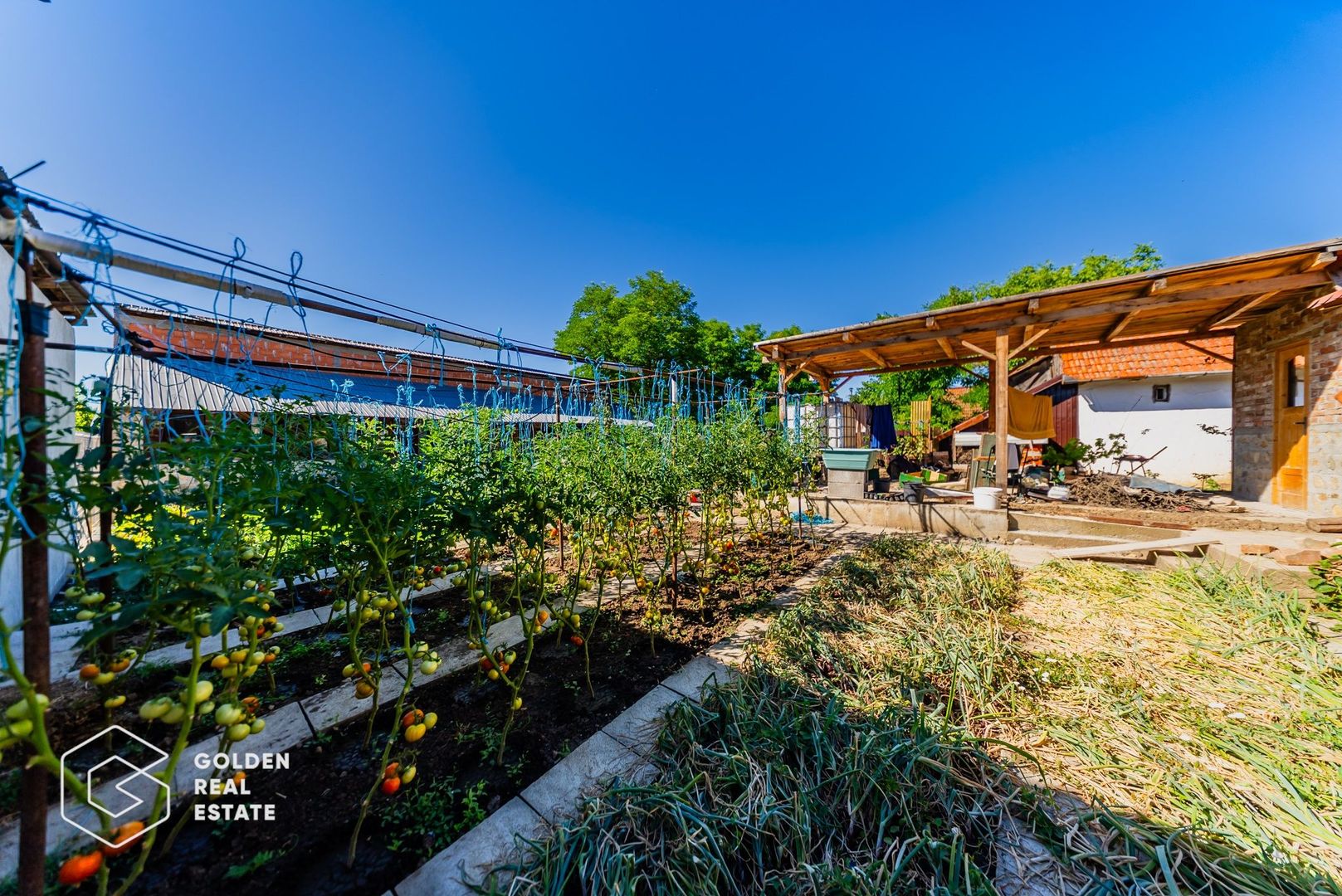 Casa situata in Pecica, 1602 mp - Poză 21