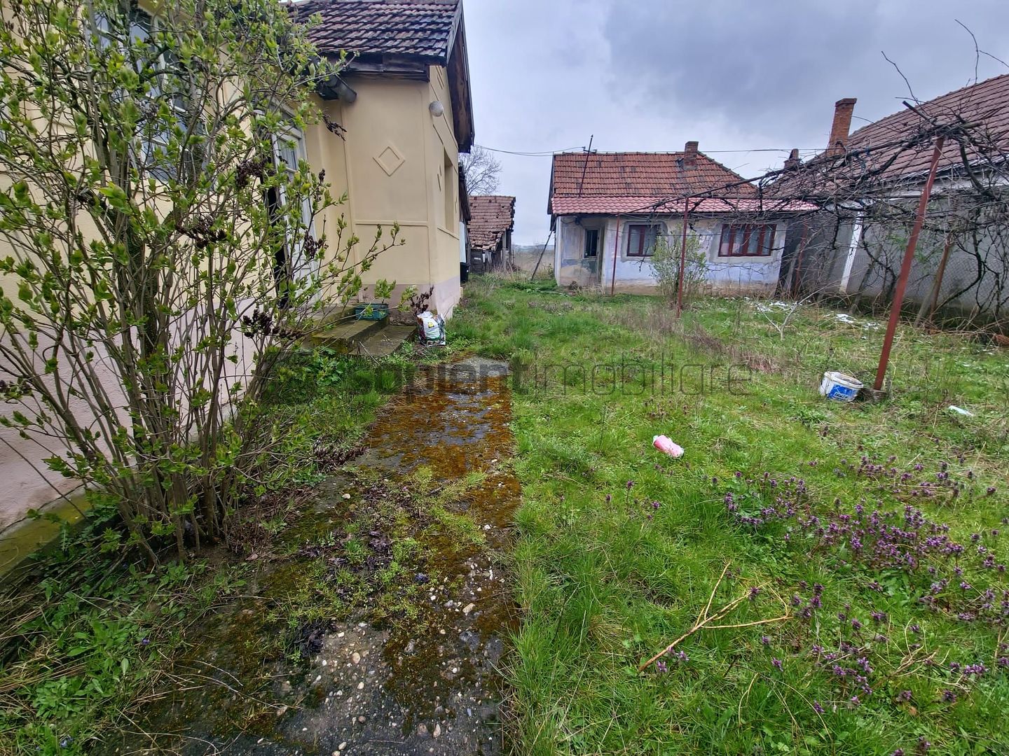 Casa Parinteasca - Poză 2