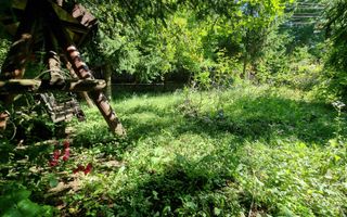 Casa de la marginea padurii! - Poză 7