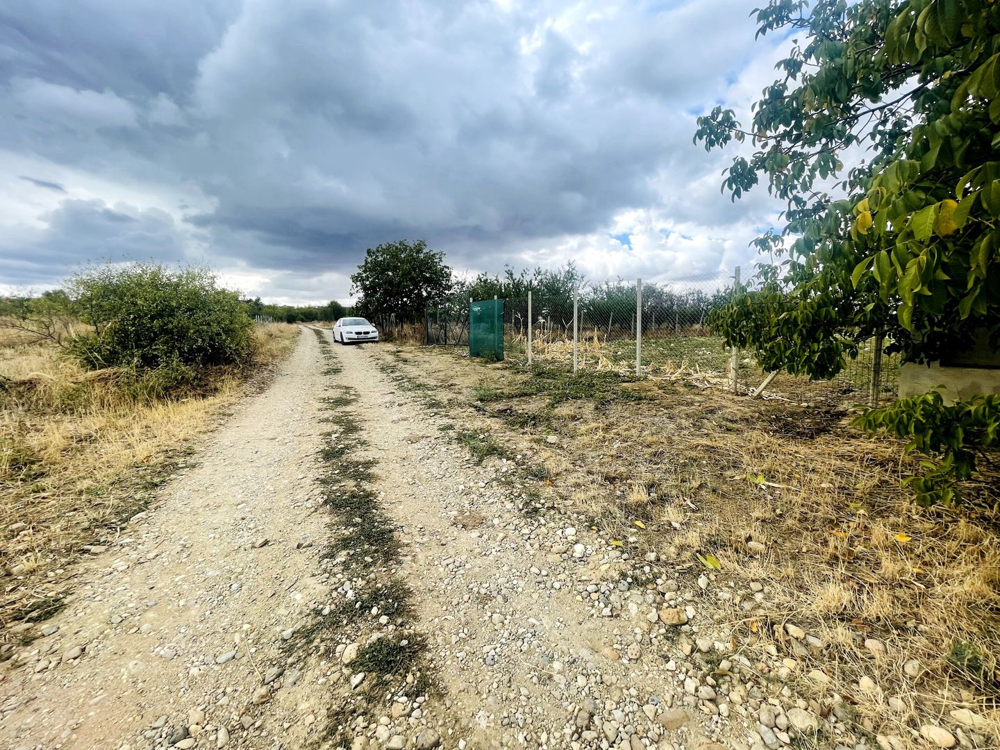 Teren intravilan de 2200 mp în Paleu – Front stradal 18 ml - Poză 3