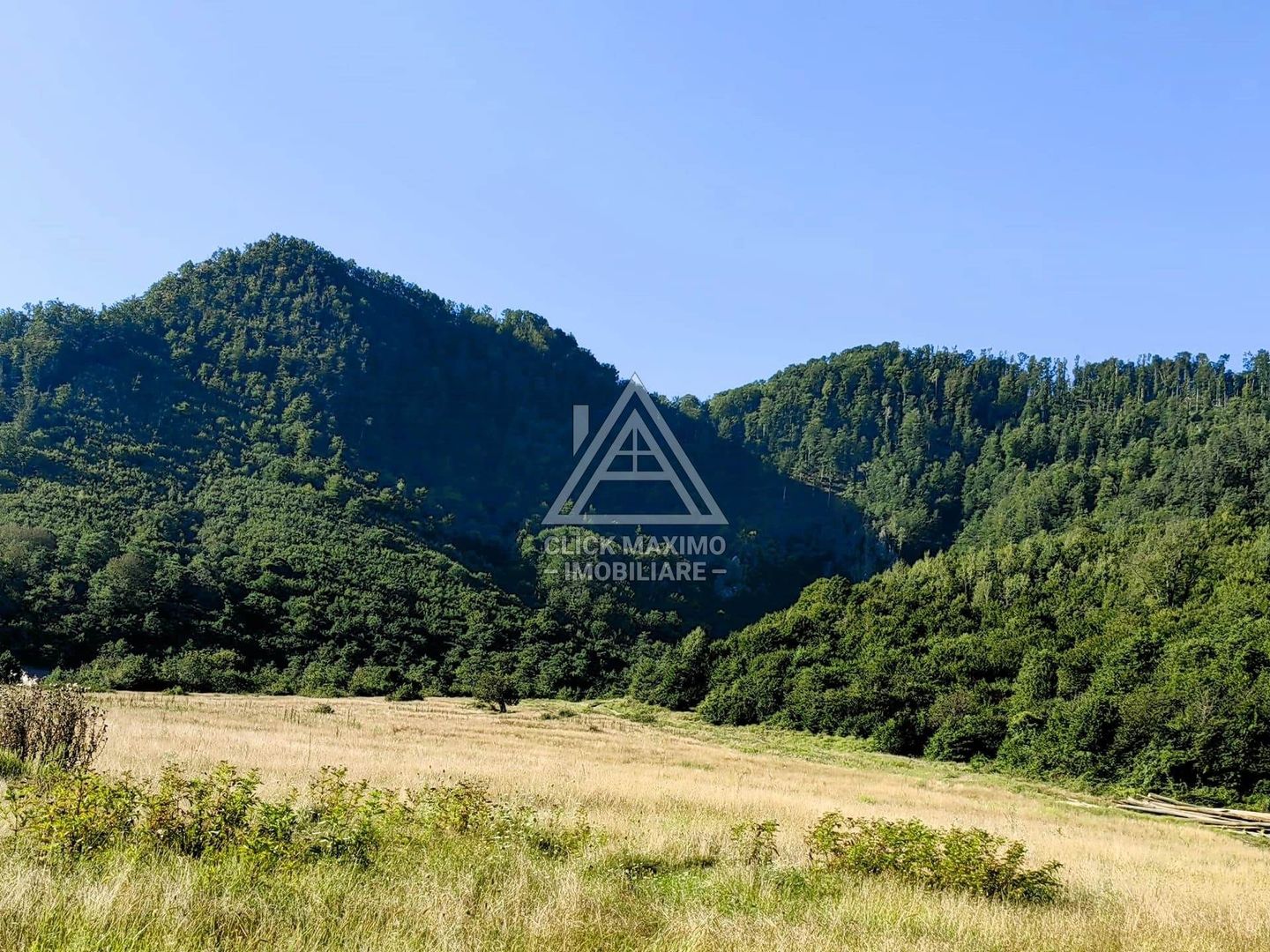 240 Hectare Pădure Valea Oltului Resurse Naturale Potențial Turistic - Poză 3