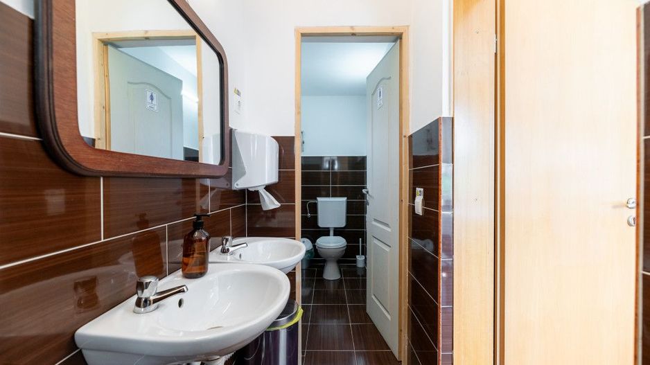 Casa + Pensiune deosebita - Orlat, Sibiu - Poză 49
