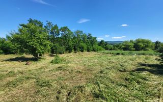 Teren de vânzare, Ciurea – 771 mp, intravilan, utilități - Poză 6