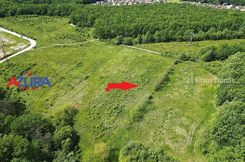 Vanzare teren Balotesti, la padure - Poză 5