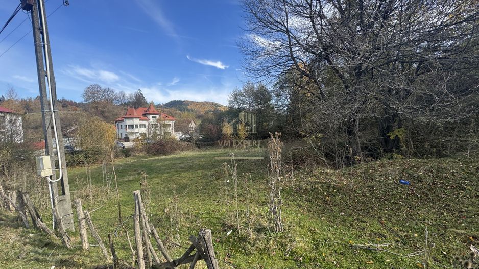 TEREN INTRAVILAN 13167 MP BUGHEA DE SUS ARGES - Poză 9