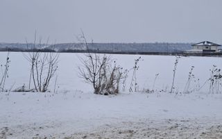 Teren de vânzare – Zona Andrășești – 16.000 mp - Poză 1