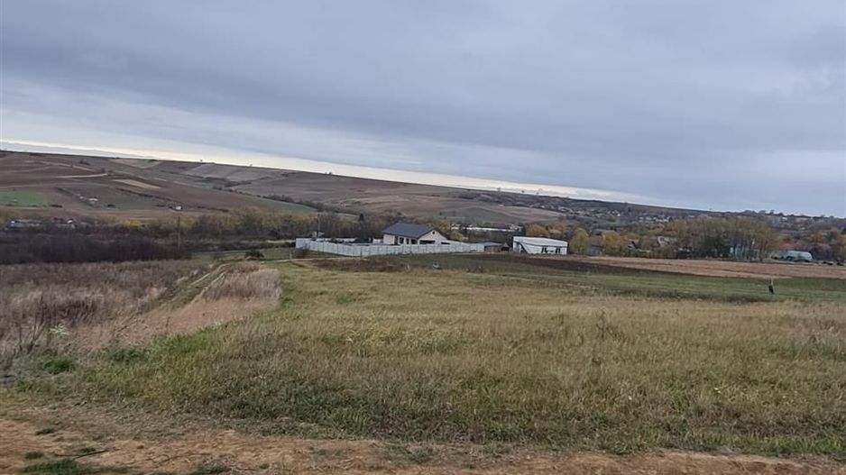 Teren Cetariu 9900 mp - Poză 1