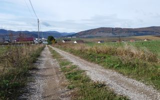 Teren intravilan 10.000 mp Gârcina lângă Sala Polivalenta Piatra Neamț - Poză 3