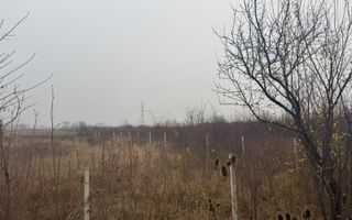 COMISION 0 | Teren intravilan | 17.700 mp | Zona Freidorf - Poză 3