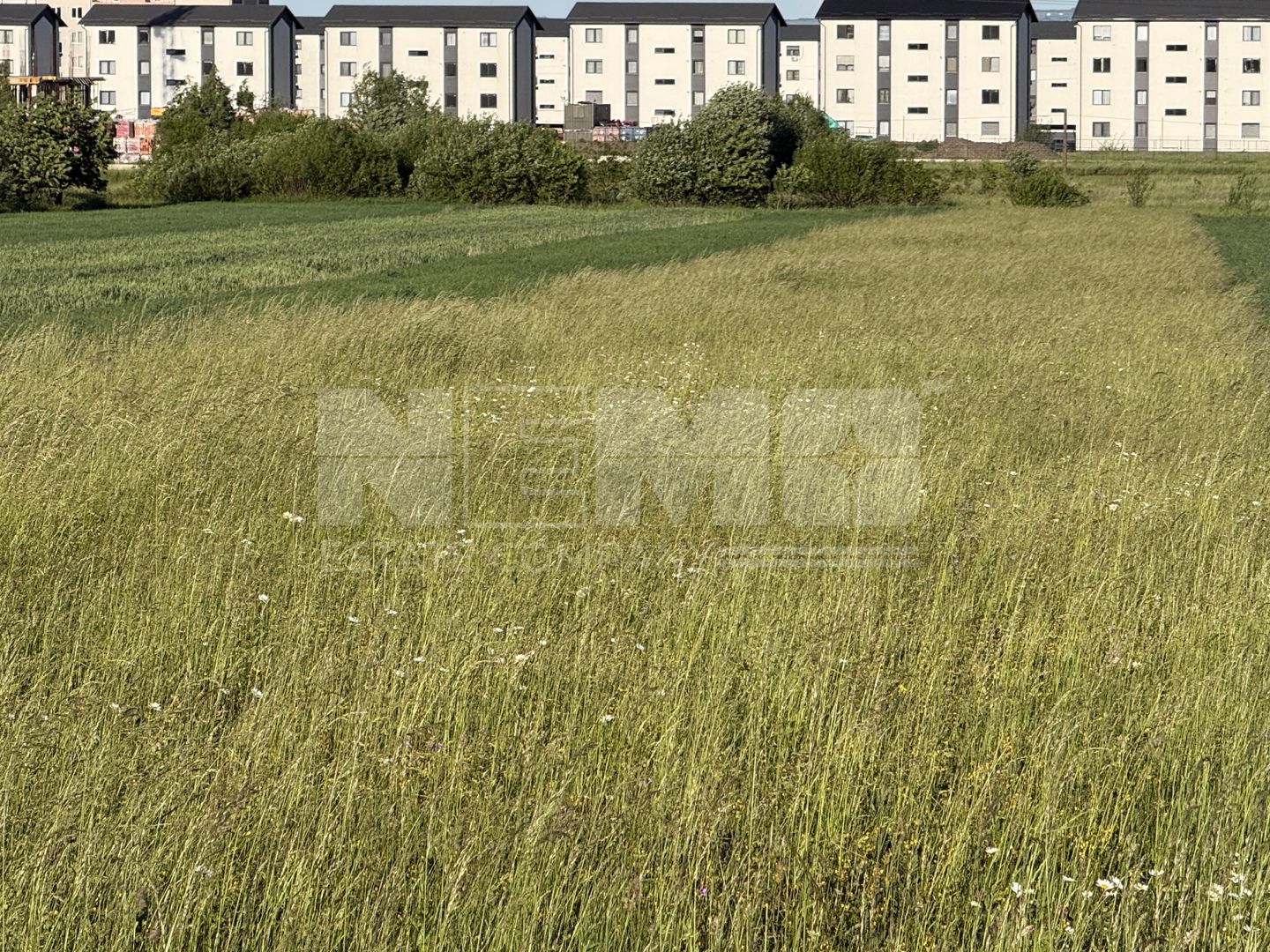 Teren extravilan de vânzare în zona Osoi – 2.650 mp | Front 10 m - Poză 5