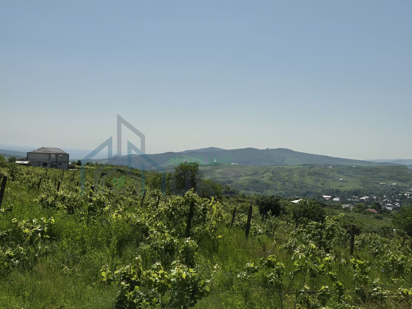 Teren intravilan de vânzare în Tomesti-Goruni – parcele de 700 mp și 3000 mp - Poză 2