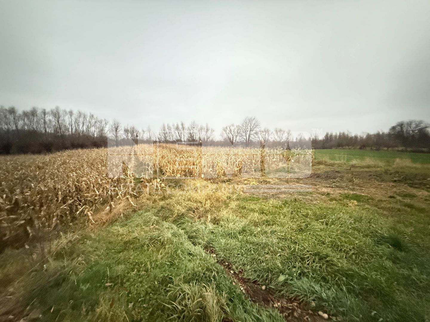 VAND CASA IN MARGINEA | 114.000 EURO NEGOCIABIL | - Poză 26