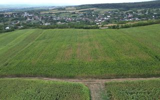 Teren de 3.600 mp Racova - Poză 4