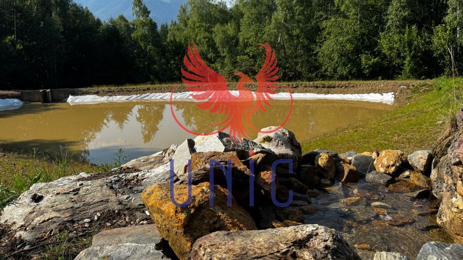 18000 mp de natura pura ,Lupeni, langa Straja - Poză 14