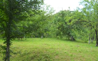 Teren Breaza de Jos, Prahova, Podu Vadului, 3750 mp (posibilitate si de 6000 mp) - Poză 3