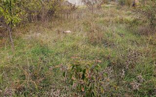 Teren intravilan construibil, 585 mp, zona Alba-Micesti - Poză 2