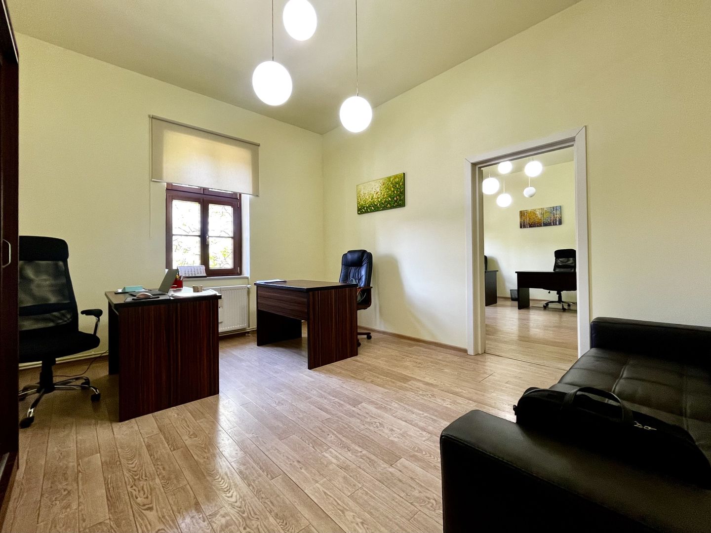 Apartament pretabil birou sau investiție, Central - Take Ionescu - Poză 3