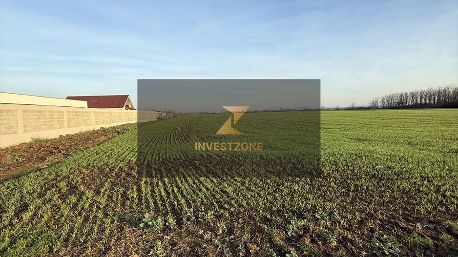 27.200 mp comuna Santandrei - Bihor - Oradea - Poză 5