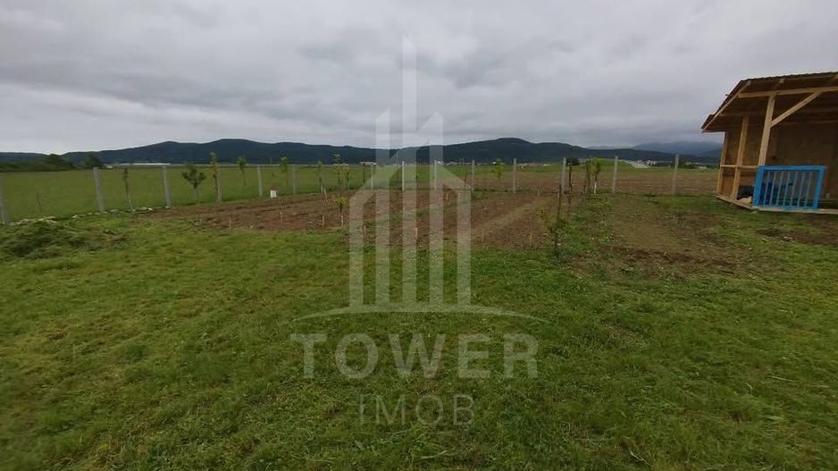 Grădină 862 mp cu cabanuta și pomi fructiferi – între Tălmaciu și Sadu - Poză 5