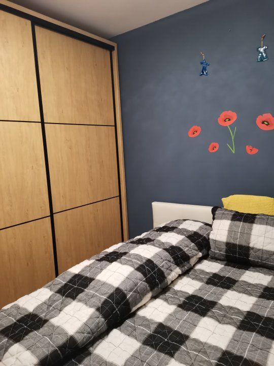 APARTAMENT 2 CAMERE MIHALACHE | CIUPERCA - Schiță 1