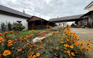 Casa 330 mp | cu teren 2300 mp | Santandrei - langa Oradea - Poză 3