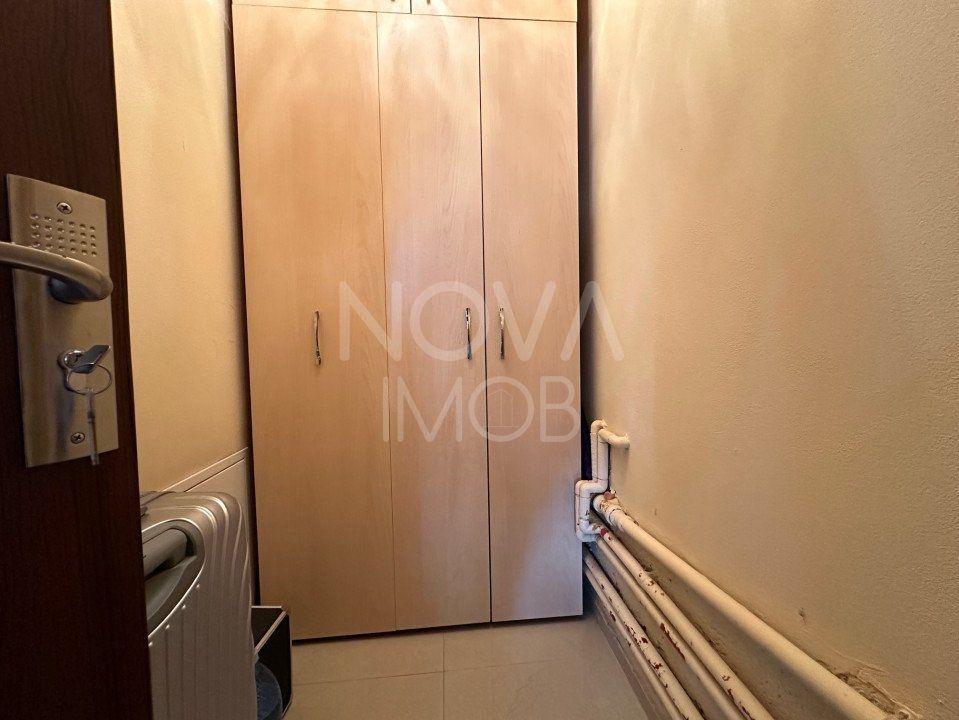 Casa individuala de vanzare - Sura Mare - Poză 31