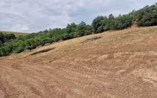 Teren intravilan intre Micesti si Sard - Poză 4