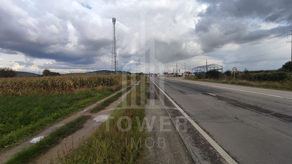 Teren intravilan 4000 mp Cristian DN 1 - Poză 3