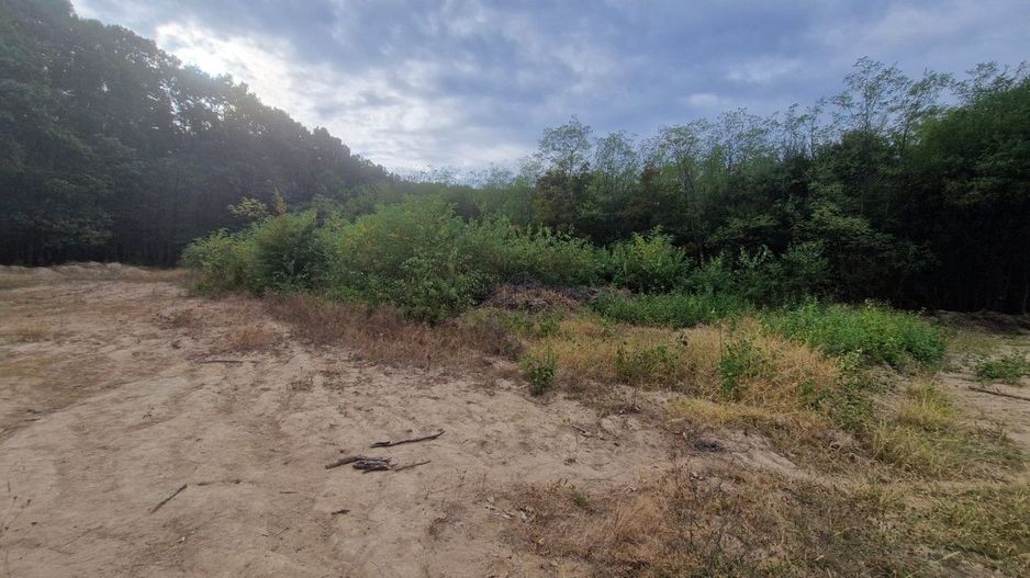 AZURA Imobiliare - Vanzare teren Hintesti, langa padure, 300m din DN - Poză 15