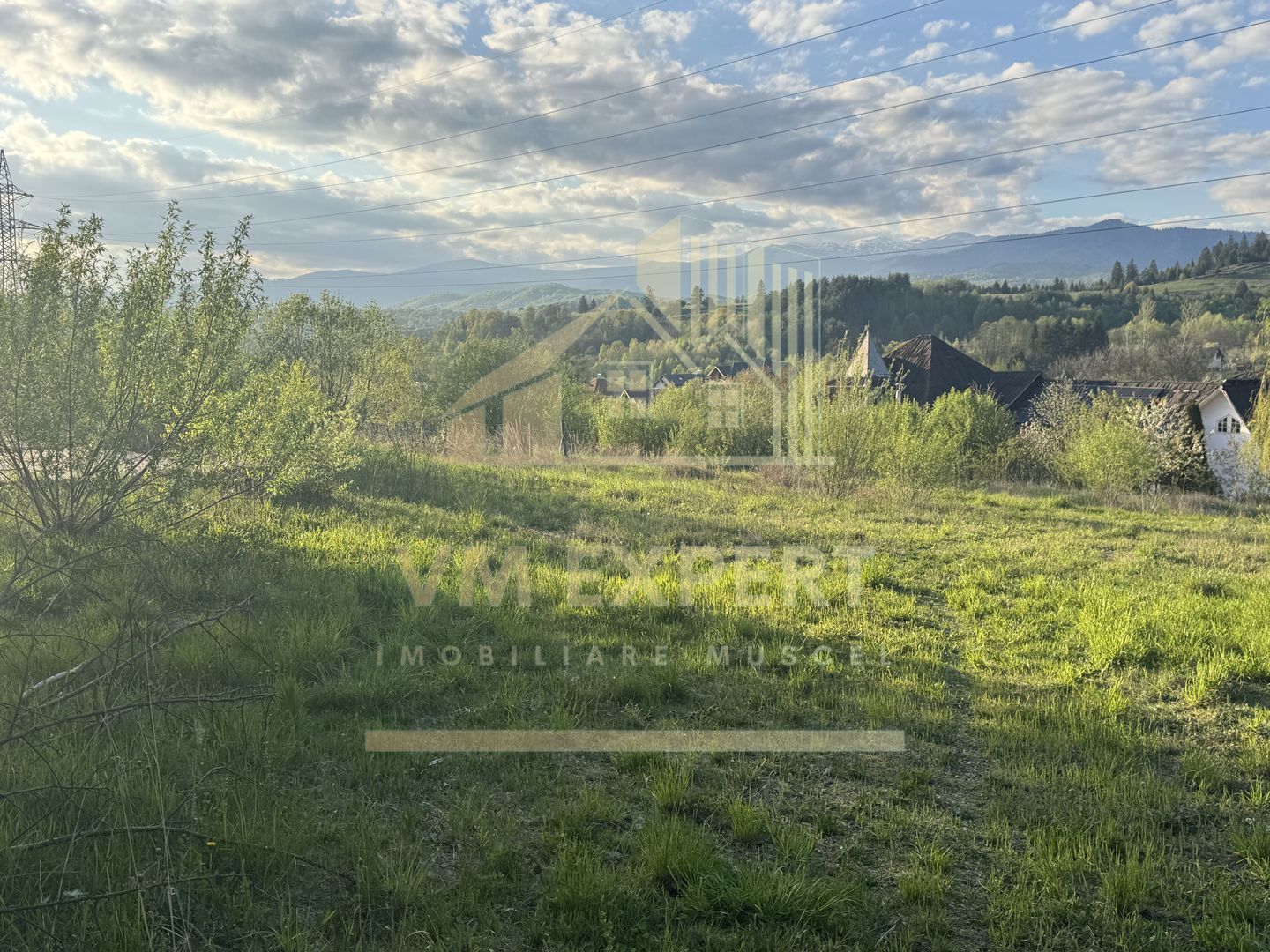 TEREN INTRAVILAN 2500 MP GRUI CAMPULUNG - Poză 1