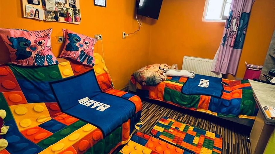 Casa la 20 de Km de Oradea - Poză 3