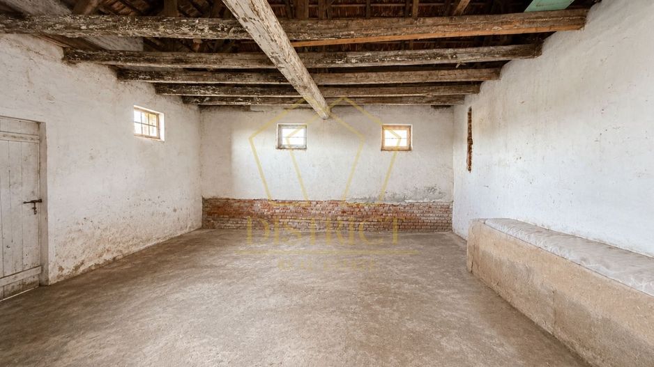 Casa cu istorie, teren de aproape 2 hectare si potențial rar | Petrovaselo - Poză 10