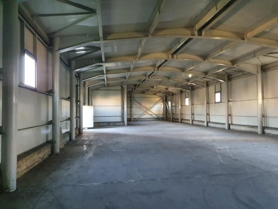 Hala de inchiriat Pitesti - Poză 4