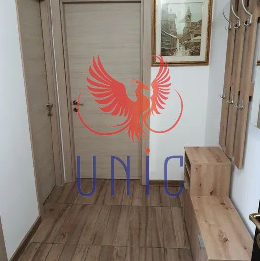 Apartament 2 camere de inchiriat zona Brazda lui Novac - Poză 5
