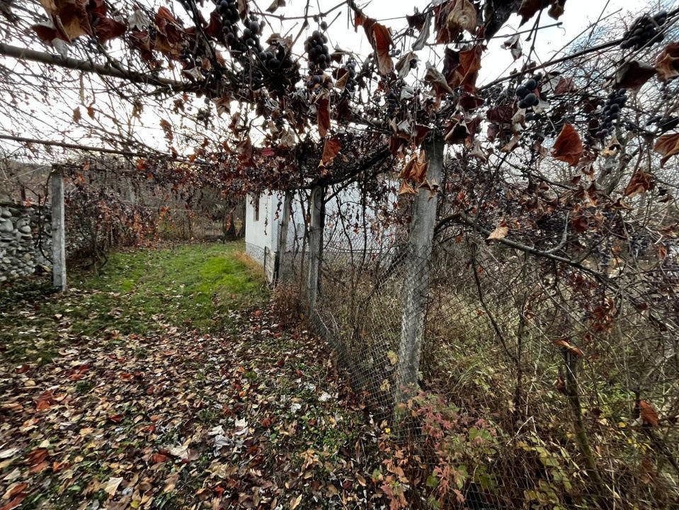 Casă + teren generos de vânzare în Strâmba Jiu - Poză 9