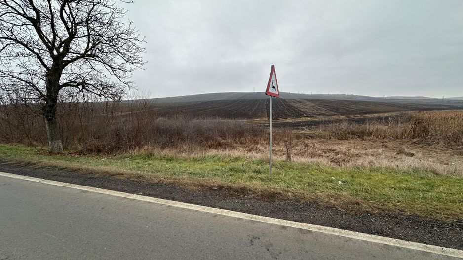 Teren 13.780 mp, Apahida, Cluj - Ideal pentru Investiție - Poză 1