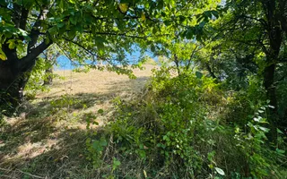 TEREN INTRAVILAN 3234 MP LEREȘTI VOINEȘTI ARGEȘ - Poză 20