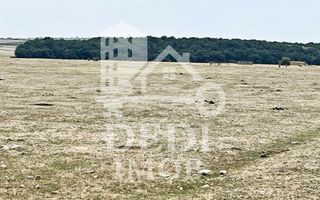 Teren intravilan de vanzare in Cihei, Bihor - Poză 3